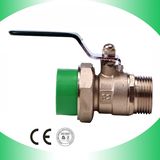 PPR Male Brass Ball Valve (B25)