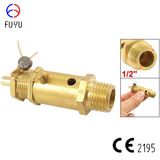 Pressure Safety Valve