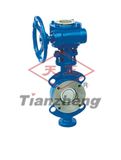 Butterfly Valve