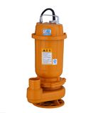 Professional Stainless Steel Sewage Pump with CE Certificate 3