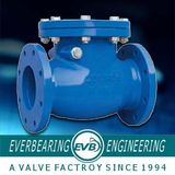 Swing Check Valve (CKV-056-C)