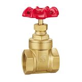 Brass Gate Valve (SS1020)