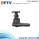 Forged Extended Body Gate Valve