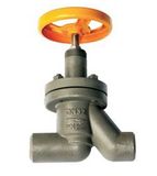 Globe Valve for Ammonia /Fluoride CE /Wcb