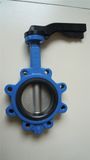 Wcb Lug Butterfly Valve Class125/150