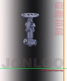 Forged Steel Globe Valve