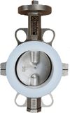 Wafer Butterfly Valve Split Body Centre Lined Butterfly Valve