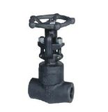 Forged Steel Threaded Globe Valve (J11H-800#)