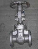 Cast Iron/Ductile Iron Gate Valve