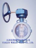 PFA Coating Gear Box Butterfly Valve (D371X-10/16)