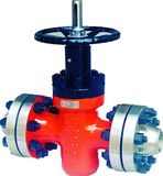 Gate Valve (Z43Y)