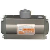 Pneumatic Actuators (YS020)