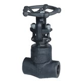 Screwed and Socket Welded Forged Steel Gate Valves