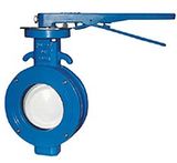 Single Eccentric Butterfly Valve