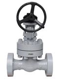 Stainless Steel Gate Valve