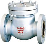 Swing Check Valve