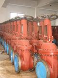 API Gate Valves