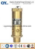 Cryogenic Oxygen Safety Valve