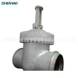 Bolted Bonnet High Pressure Gate Valve