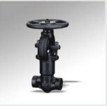 Forged Steel Self Sealing Stop Valve (DTV-J004)