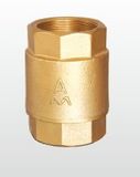 (A) Brass Spring Check Valve