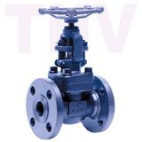 Flange Type Forged Steel Globe Valve