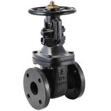 ANSI Cast Iron/Ductile Iron Flanged Gate Valve