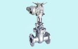 Electric Gate Valve