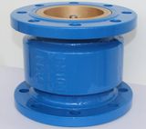 Noise Elimination Check Valve