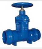 Cast Iron Valve 1