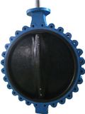 Cast Iron Lug Butterfly Valve Manufacturer