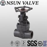 Forged Steel Gate Valve (S/W)