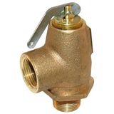 Safety Relief Valve