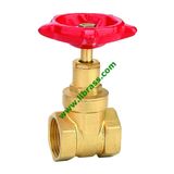 Brass Female X Female Gate Valves (LL-60003)