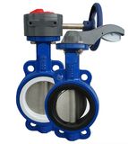 Butterfly Valve