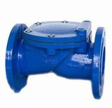 Rubber Coated Disc Check Valve