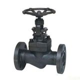 Forged Steel Globe/ Stop Valve