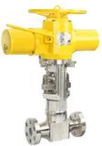 Rotary-Shaft Control Valve