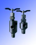 Safety Valves