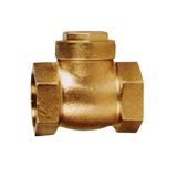 Brass Check Valve (JD-4008)