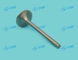 Inlet Valve/Intake Valve/Cy4102bzq/Foton Auto Parts