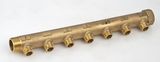 Brass Manifold