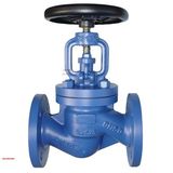 DIN Cast Iron Bellows Globe Valve (WJ41H-16)