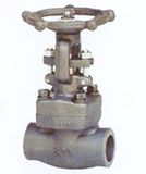 Forged Globe Valve