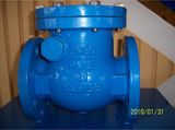 BS 5153 Swing Check Valve