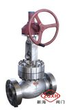 API High Pressure Stainless Globe Valve