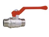 Ball Valve