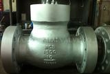 Pressure Seal Check Valve