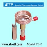 Freezer Brass Expansion Valve