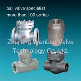 Stainless Steel Spring Loaded Check Valve / Non Return Valve / Swing Check Valve Pn16